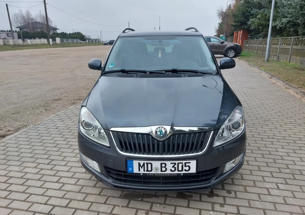 Skoda Fabia cena 14999 przebieg: 164000, rok produkcji 2010 z Płońsk małe 211